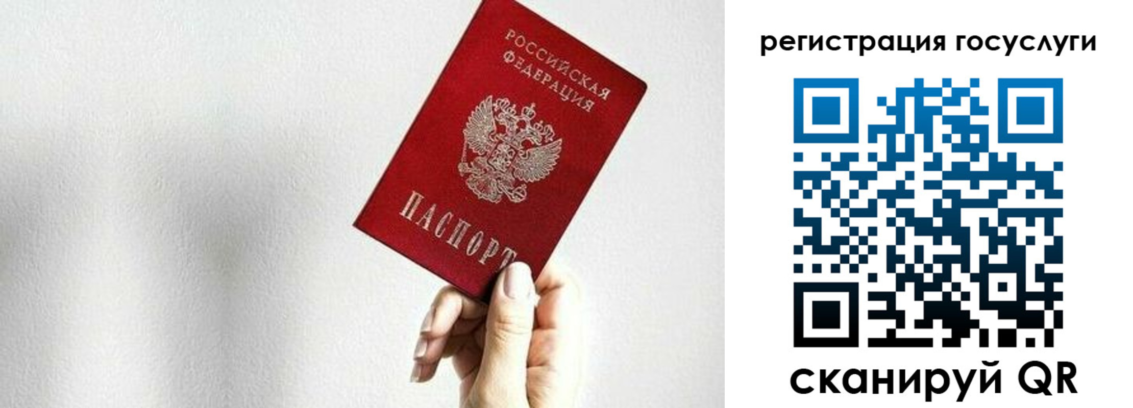 прописка гарантия в Новоузенске
